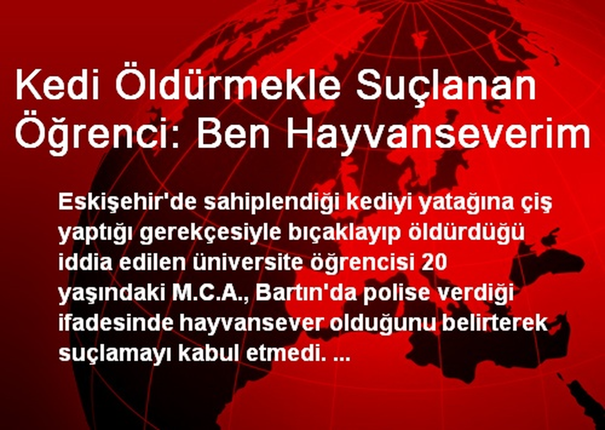 Kedi Öldürmekle Suçlanan Öğrenci: Ben Hayvanseverim