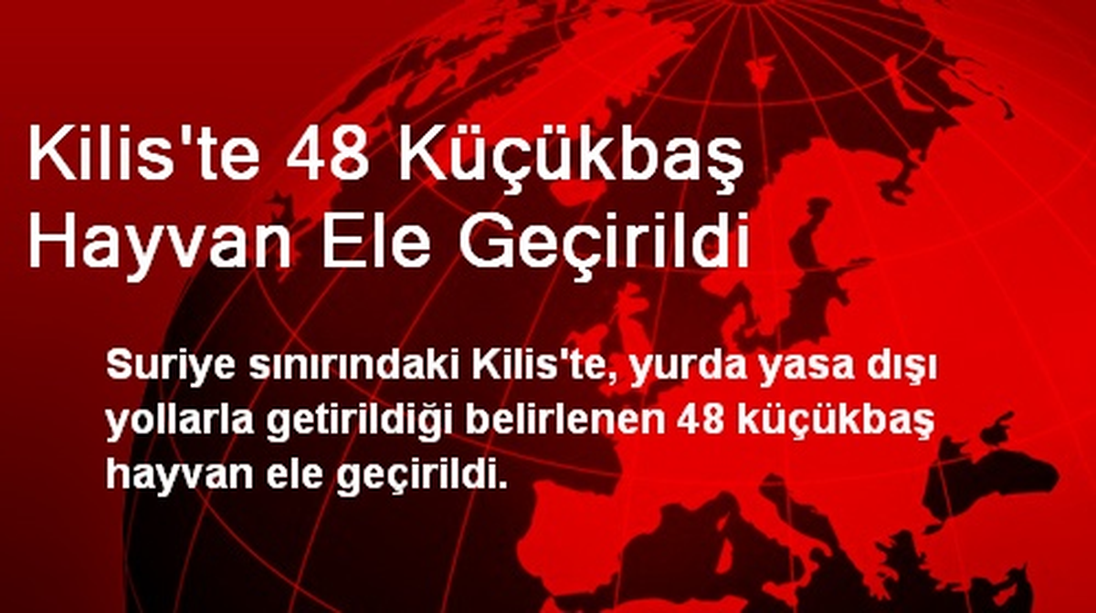 Kilis\'te 48 Küçükbaş Hayvan Ele Geçirildi