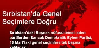 Sırbistan'da Genel Seçimlere Doğru