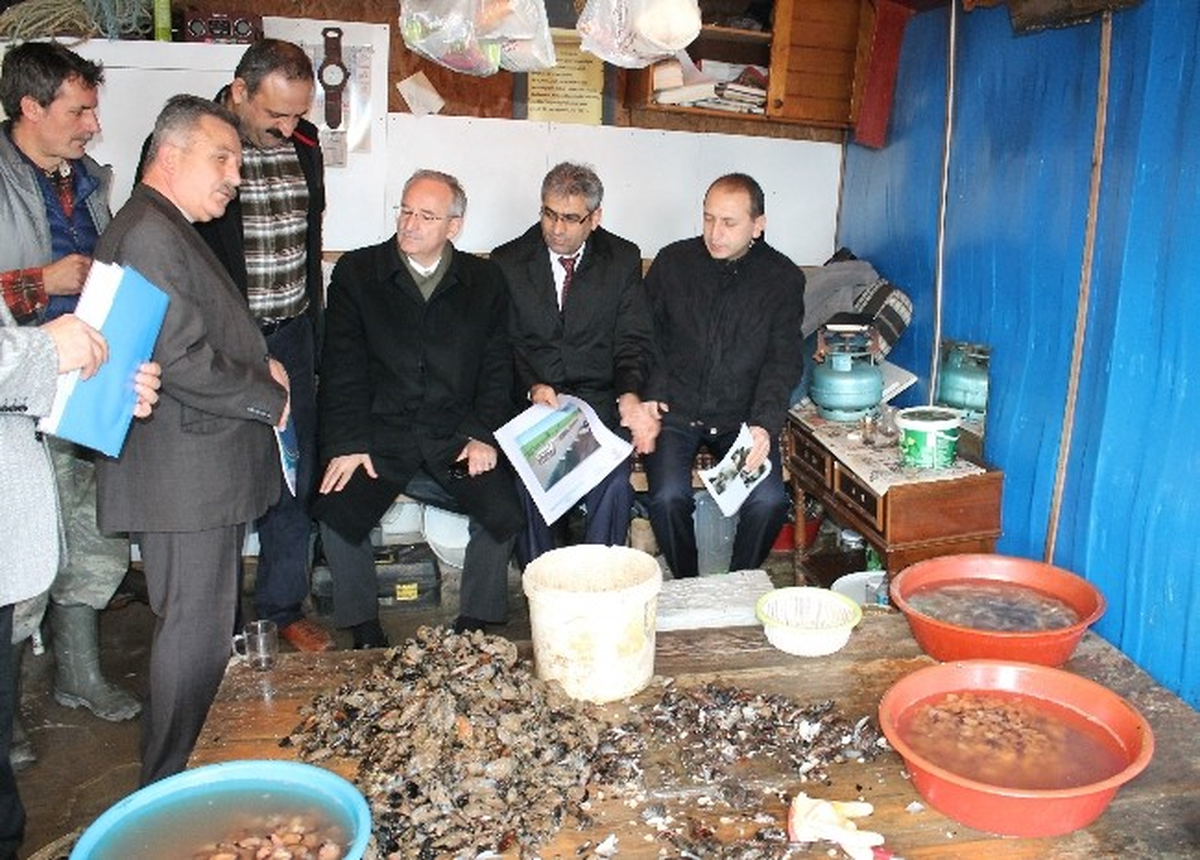 Rumeli Kavağı\'na Midye İşleme Merkezi Müjdesi