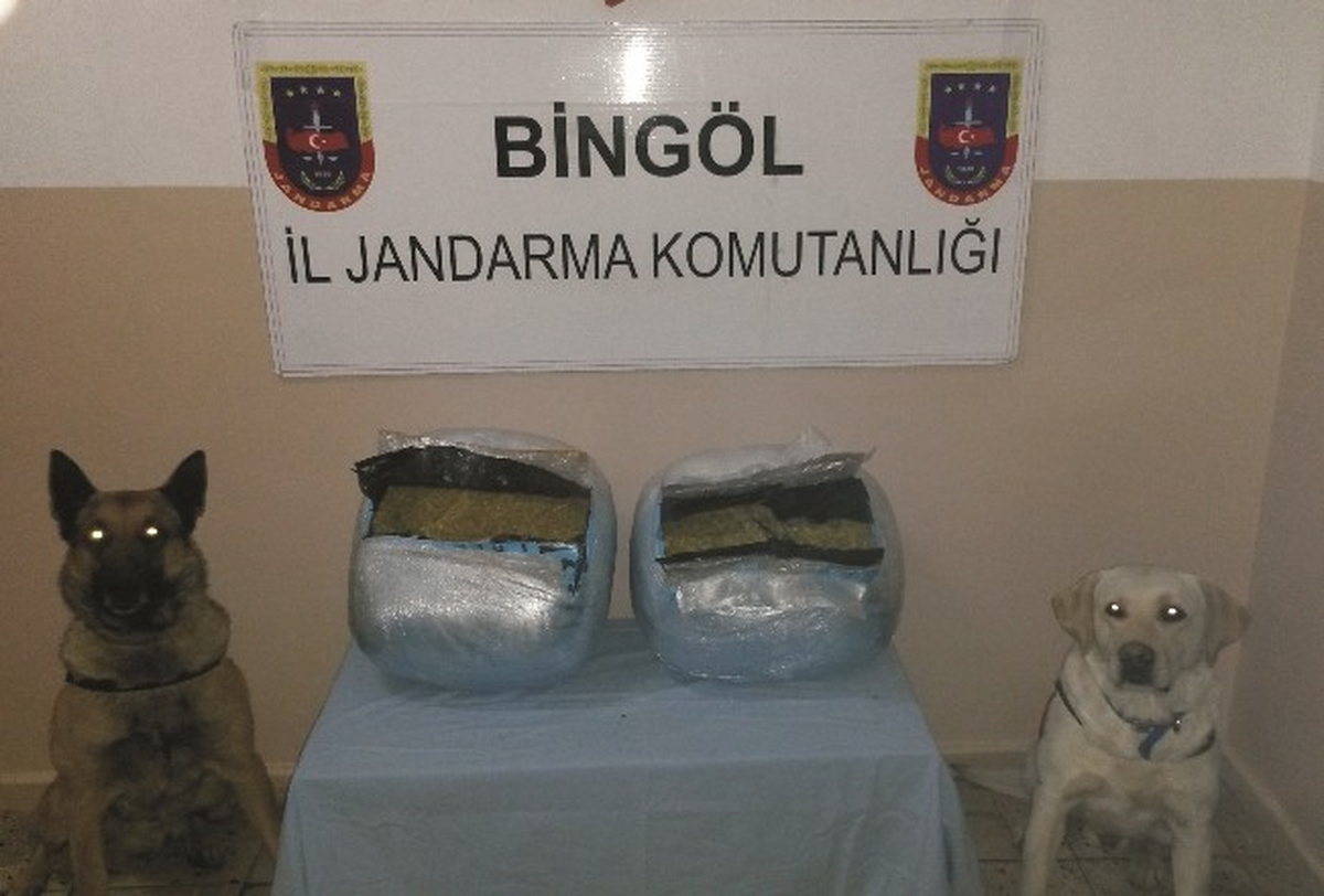 Yolcu Otobüsünde 31 Kilogram Esrar Ele Geçirildi