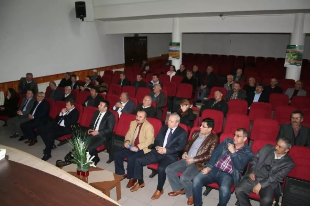 Çarşamba'da Tarsim Anlatıldı