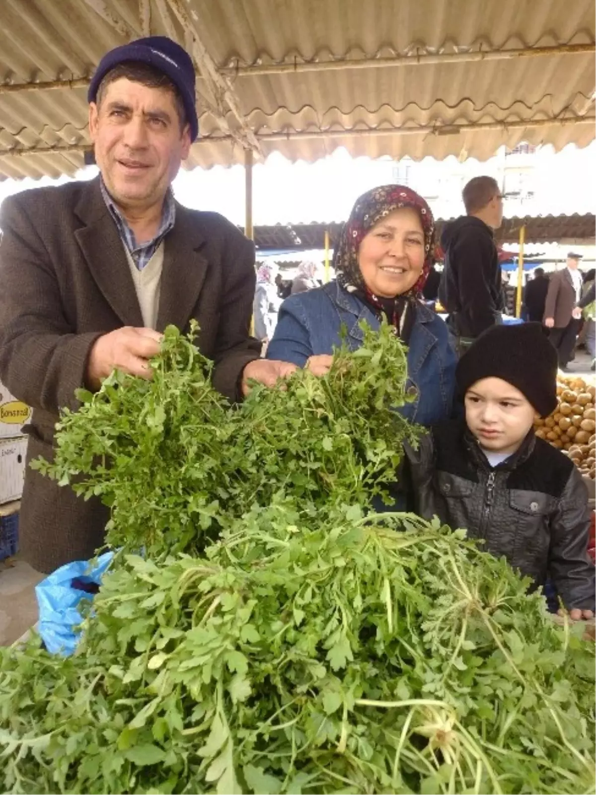 Hayrabolu\'da Gelincik Bitkisine Büyük İlgi