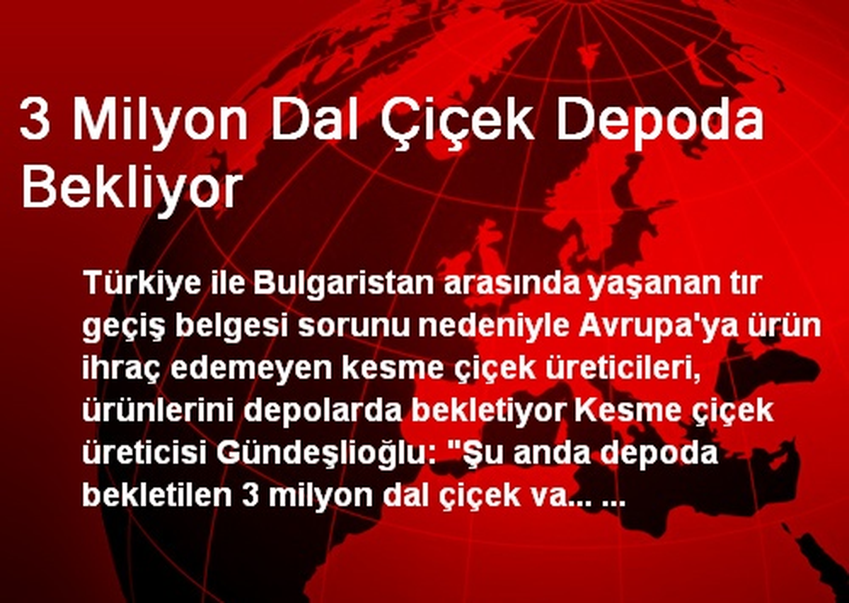 3 Milyon Dal Çiçek Depoda Bekliyor