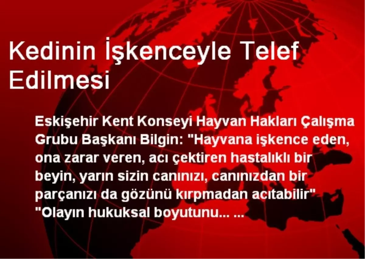 Kedinin İşkenceyle Telef Edilmesi