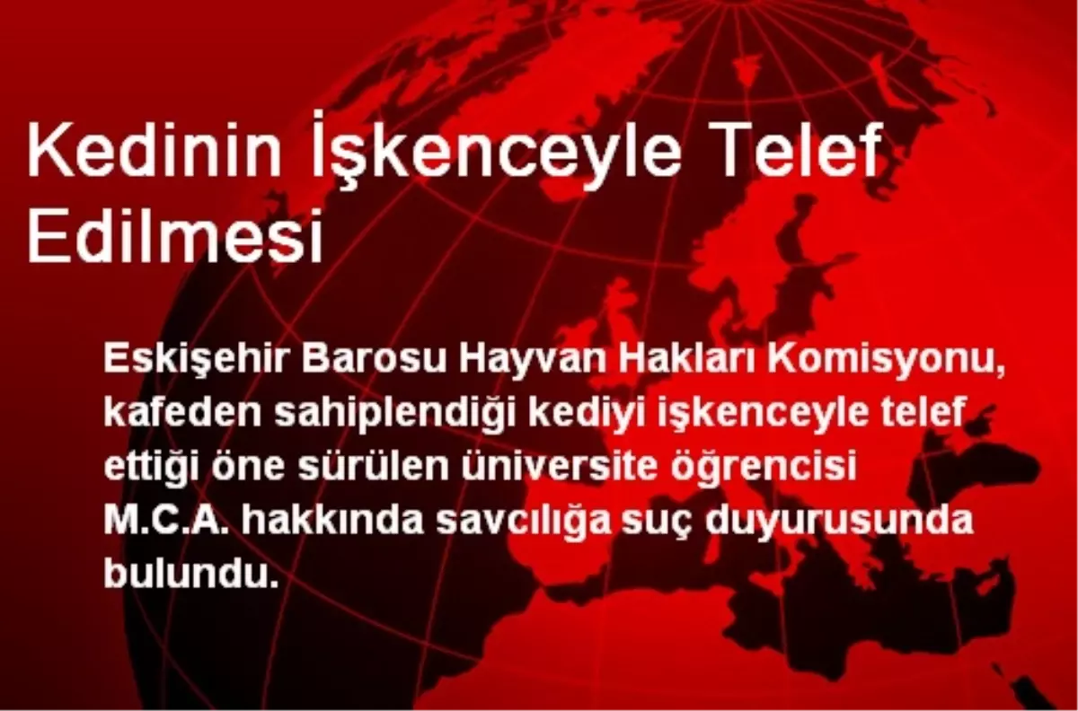 Kedinin İşkenceyle Telef Edilmesi