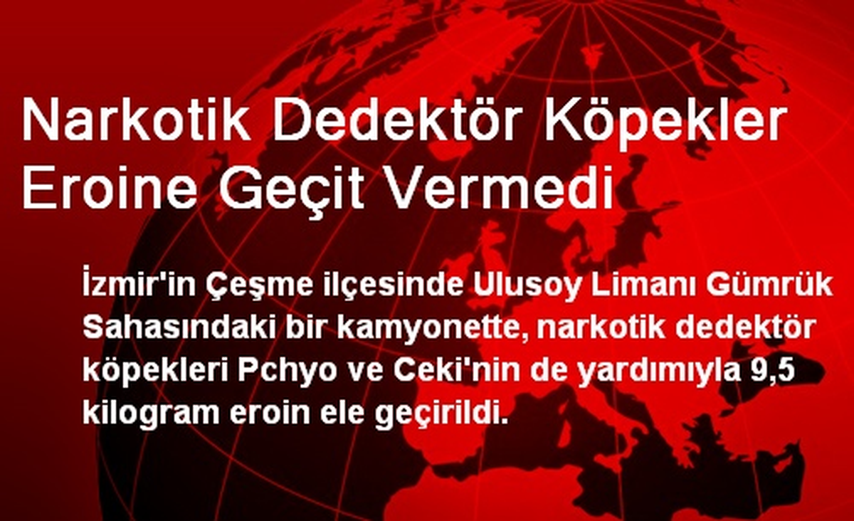 Narkotik Dedektör Köpekler Eroine Geçit Vermedi