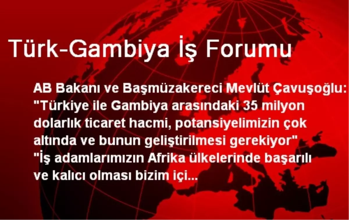 Türk-Gambiya İş Forumu