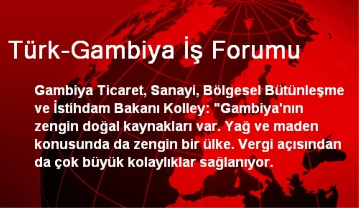 Türk-Gambiya İş Forumu