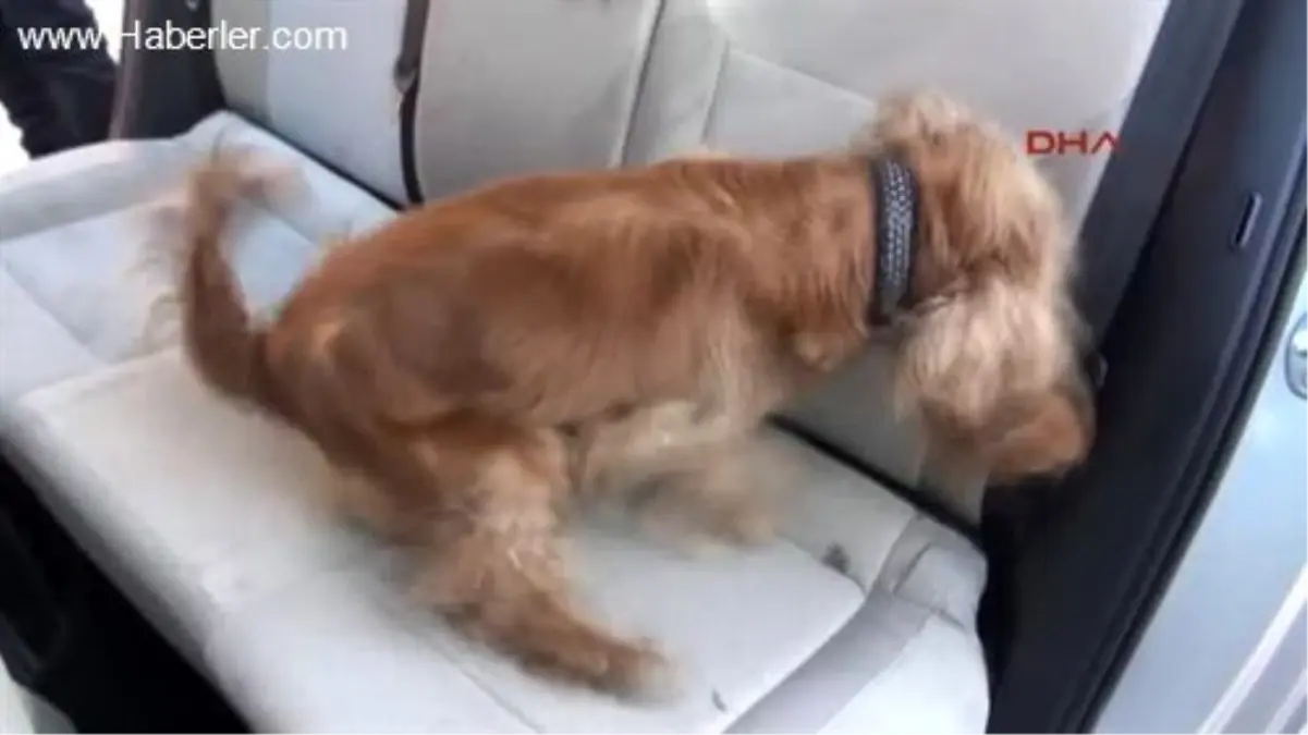 Tankerde, Narkotikçi Leydi\'li Eroin Operasyonu