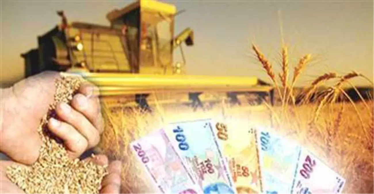 Tarım Destekleme Ödemeleri Başlıyor