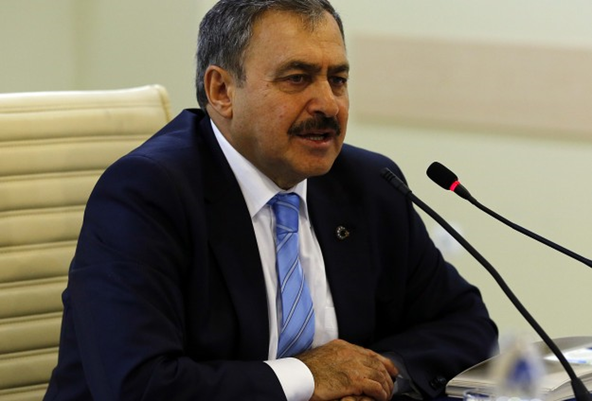 Bakan Eroğlu: "Kimse Doğalgazdan Elektrik Üreten Firmaların Gazına Gelmesin"