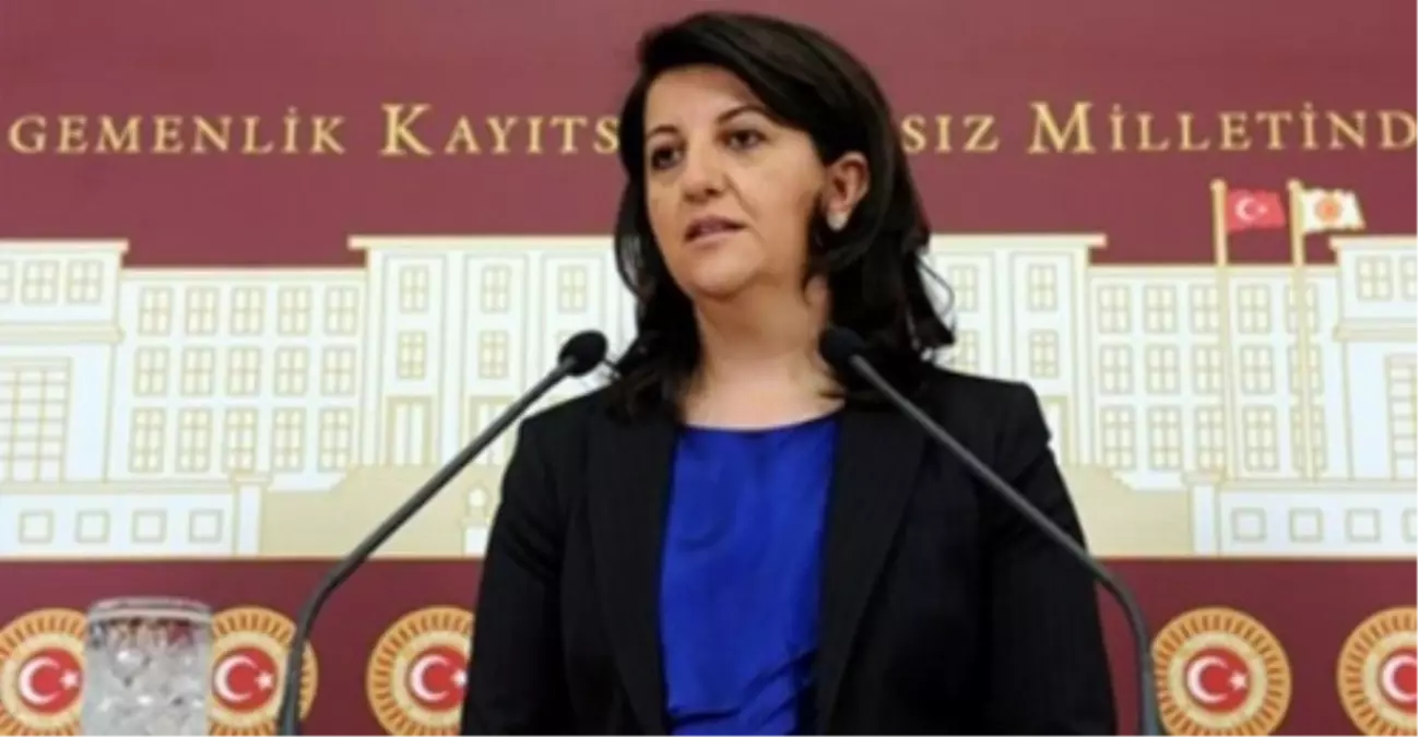 BDP Grup Başkanvekili Buldan Açıklaması