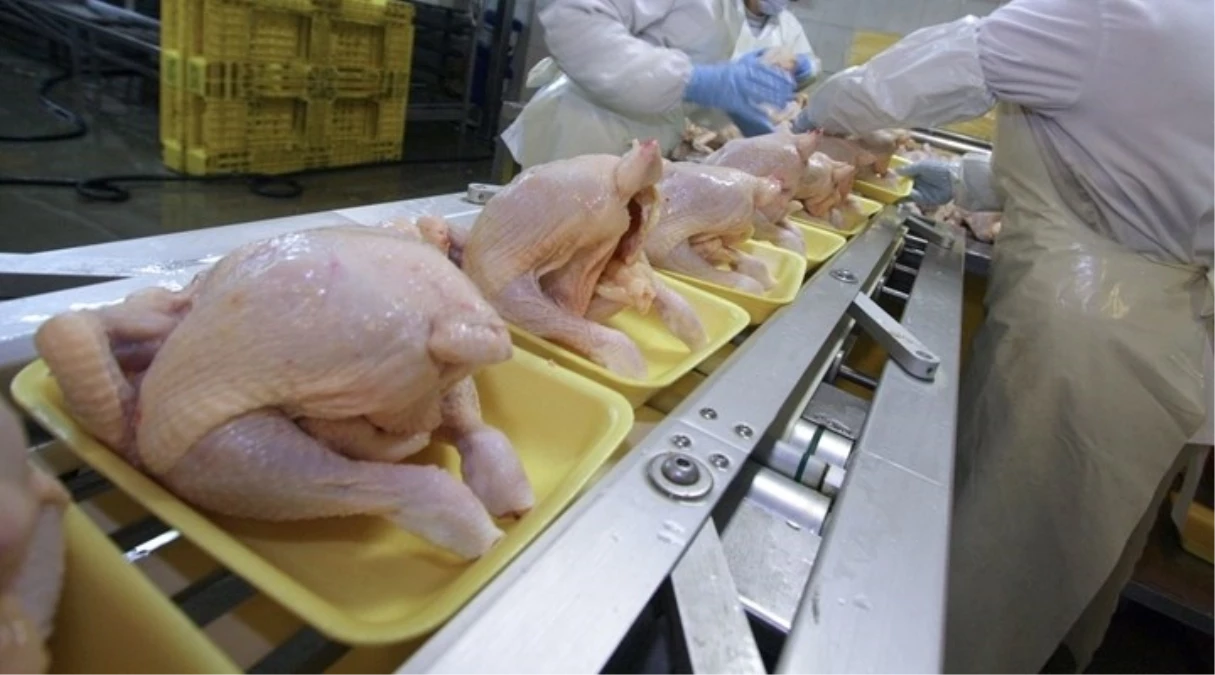 Beyaz Et Sanayicileri ve Damızlıkçıları Birliği Başkanı Koca: Tavuklarda Hormon Yok