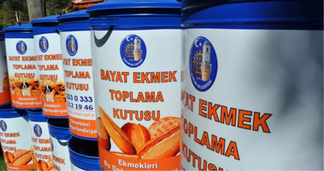 İki Haftada 3,5 Ton Bayat Ekmek Toplandı