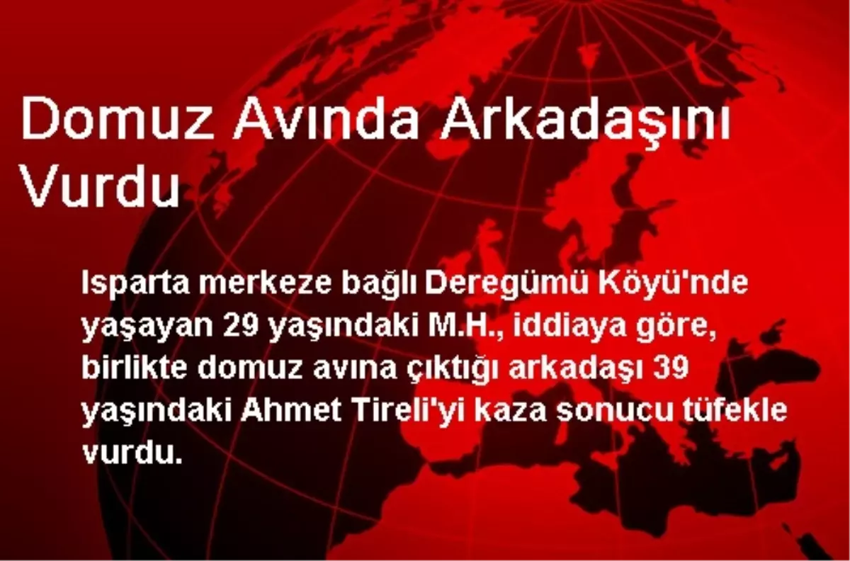 Domuz Avında Arkadaşını Vurdu