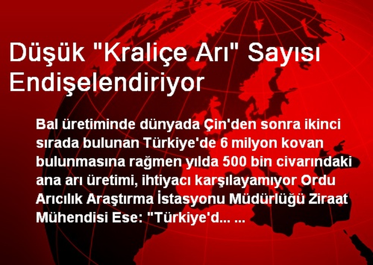 Düşük "Kraliçe Arı" Sayısı Endişelendiriyor