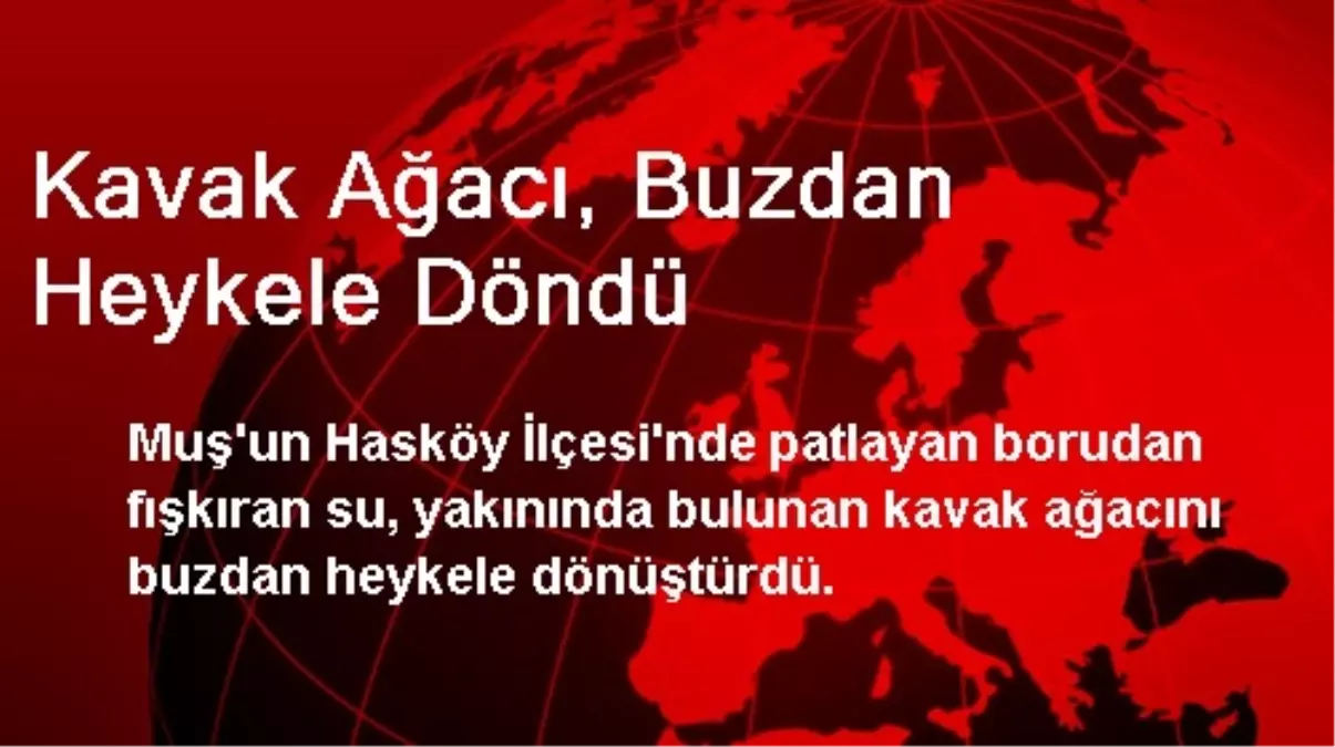 Muş\'ta, Kavak Ağacı Buzdan Heykele Döndü