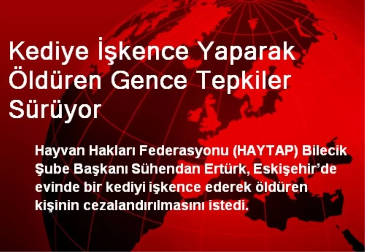 Kediye İşkence Yaparak Öldüren Gence Tepkiler Sürüyor