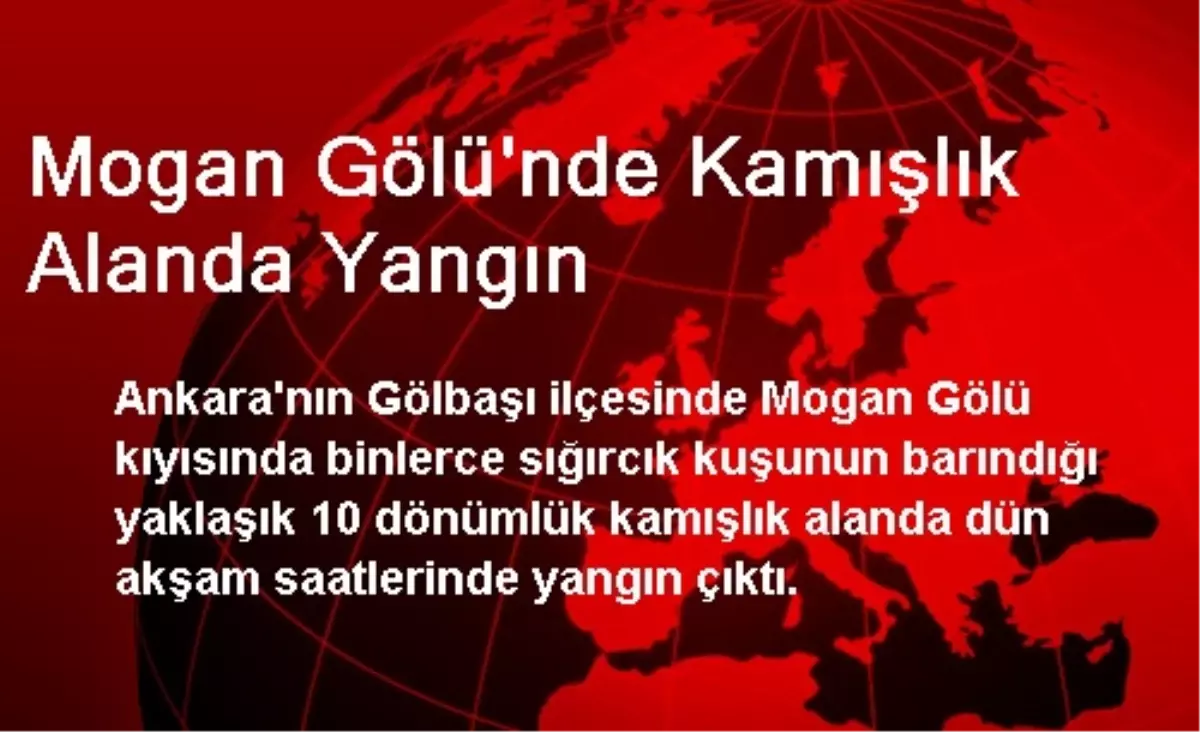 Mogan Gölünde Kamışlık Alanda Yangın