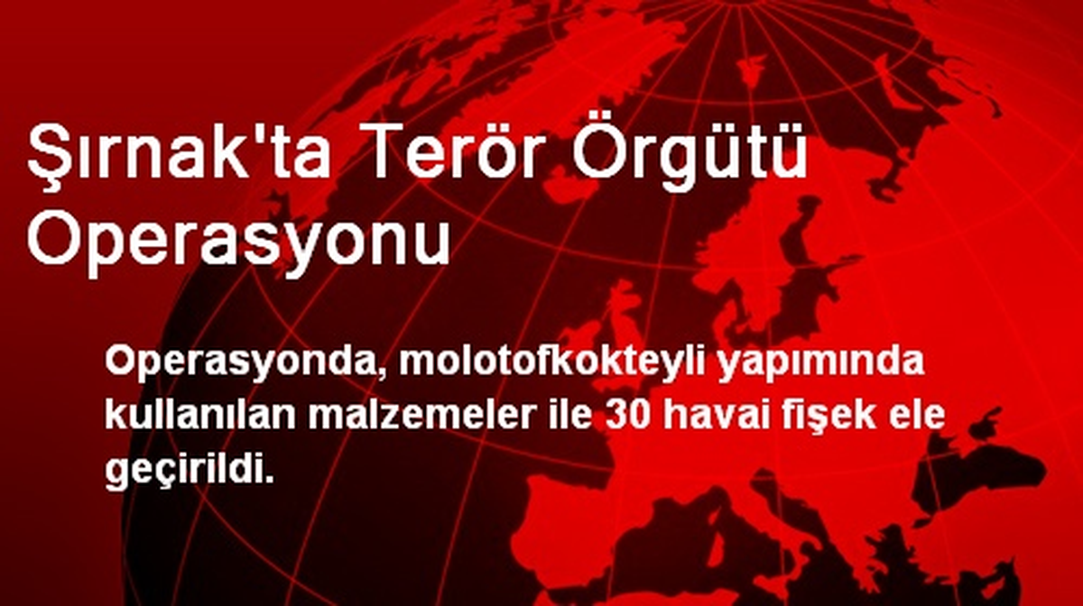 Şırnak\'ta Terör Örgütü Operasyonu