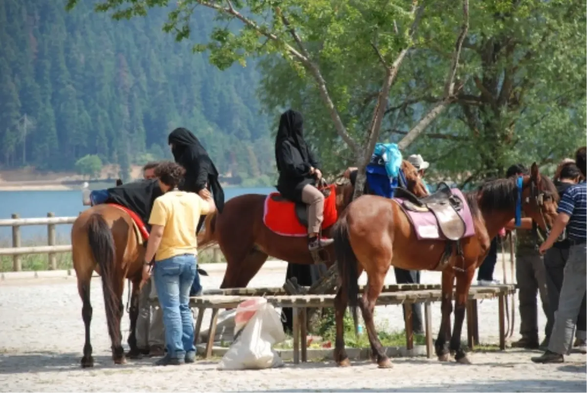 Tatilcilerin gözde mekanı Abant oldu -