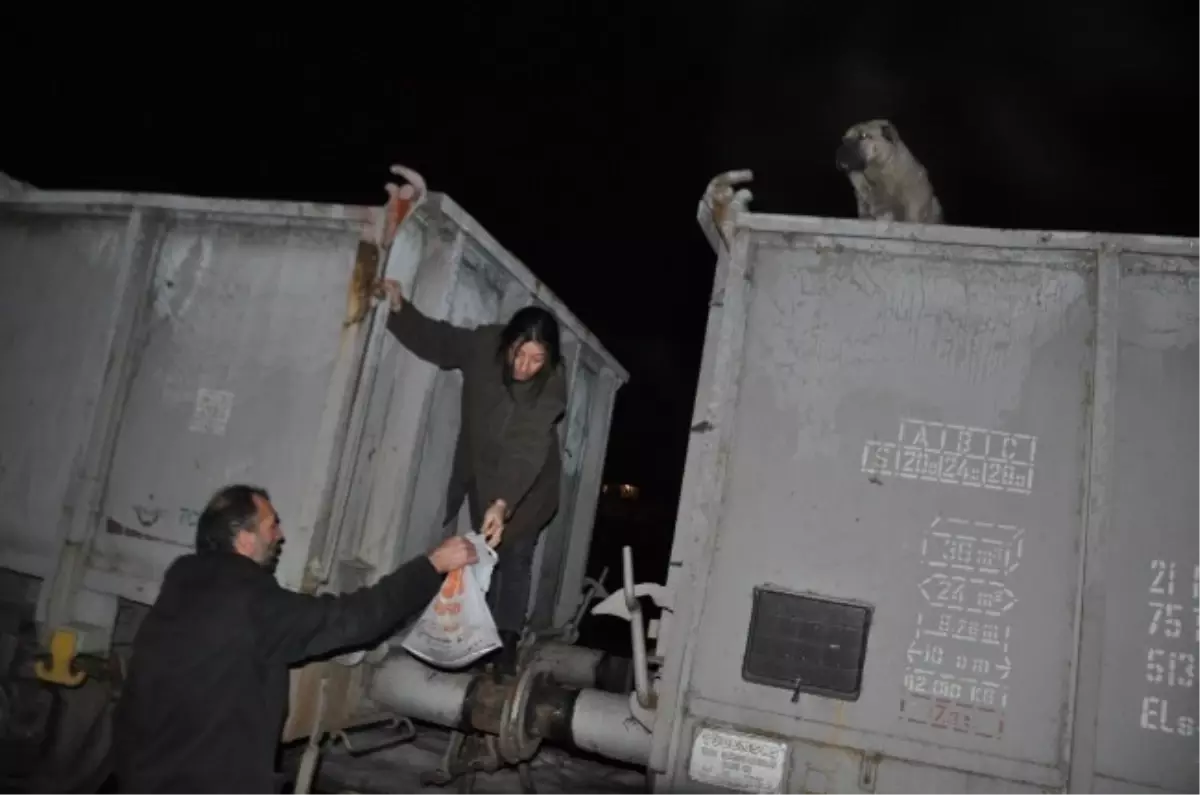 Tren Vagonundaki 7 Köpek Donmaktan Son Anda Kurtarıldı