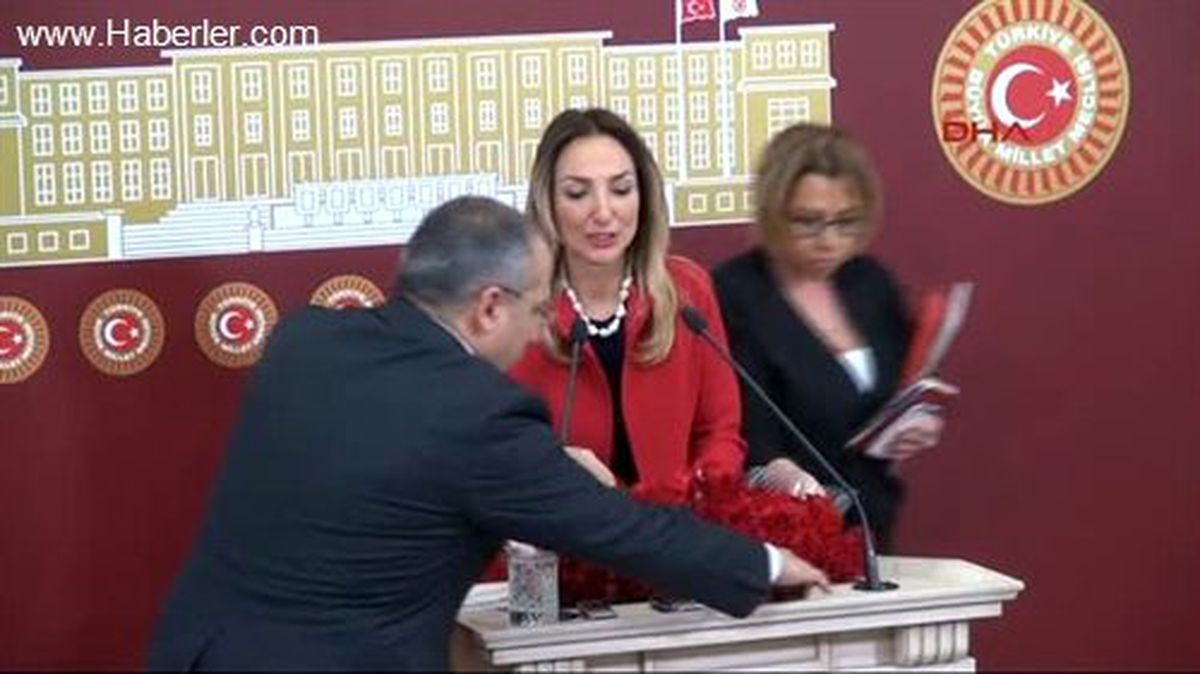 CHP\'li Aylin Nazlıaka\'dan Karanfilli 14 Şubat Kutlaması