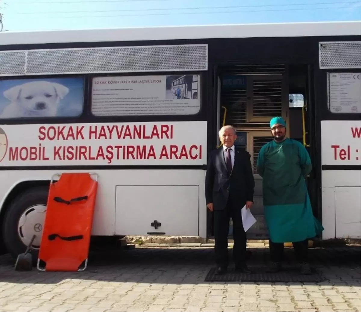 Hayrabolu\'da Sokak Hayvanları Kısırlaştırılıyor