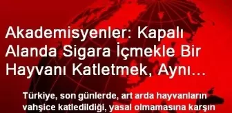 Akademisyenler: Kapalı Alanda Sigara İçmekle Bir Hayvanı Katletmek, Aynı Kapsamda...