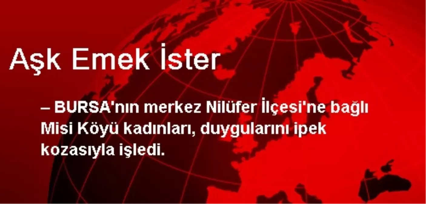 Aşk Emek İster