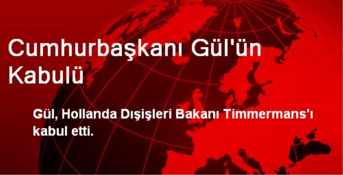 Cumhurbaşkanı Gül\'ün Kabulü