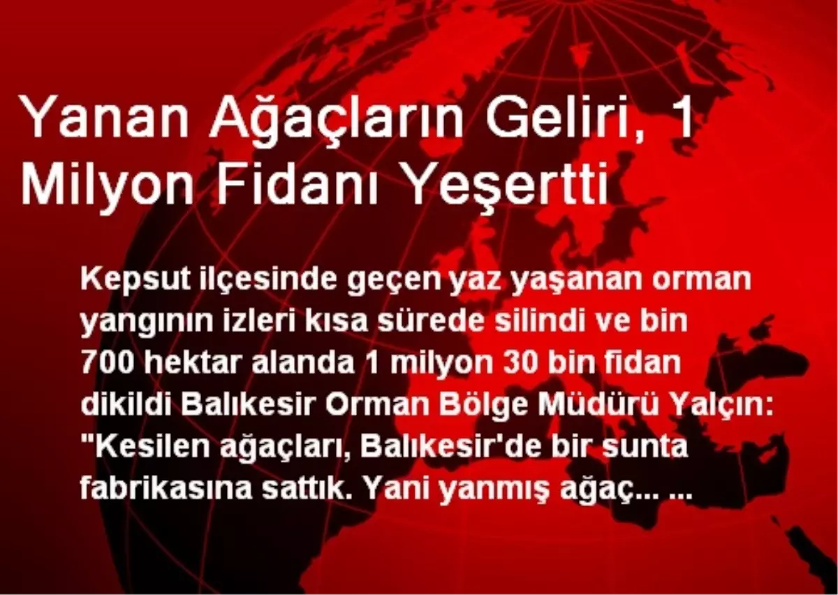 Yanan Ağaçların Geliri, 1 Milyon Fidanı Yeşertti