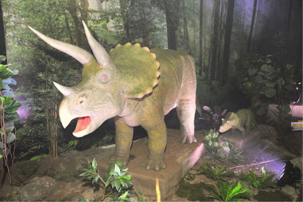 T-rex ve Triceratops ile 65 Milyon Yıl Öncesine Yolculuk