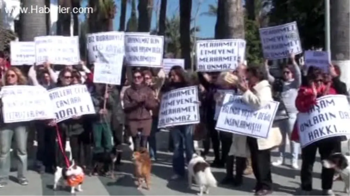 Bodrum\'da Hayvanlara Yapılan Kötü Muamele Protesto Edildi