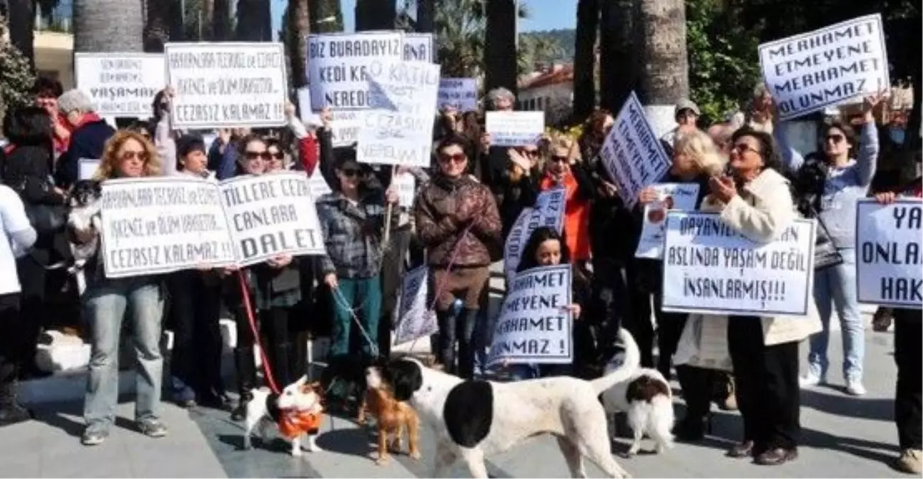 Bodrum\'da Sokak Hayvanları İçin Protesto