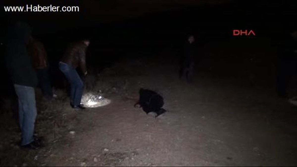 Dağlık Arazide Tüfekle Vurulmuş Ceset Bulundu