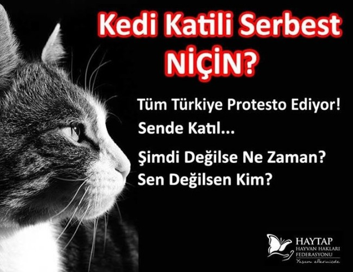 Erzurum\'da "Hayvan Cinayetlerine Dur De!" Etkinliği Düzenlenecek
