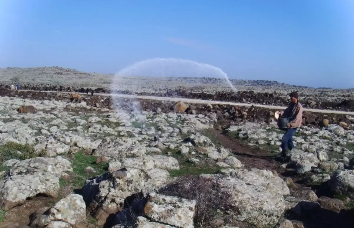 Kilis\'te Mera Çalışmaları Yapılıyor