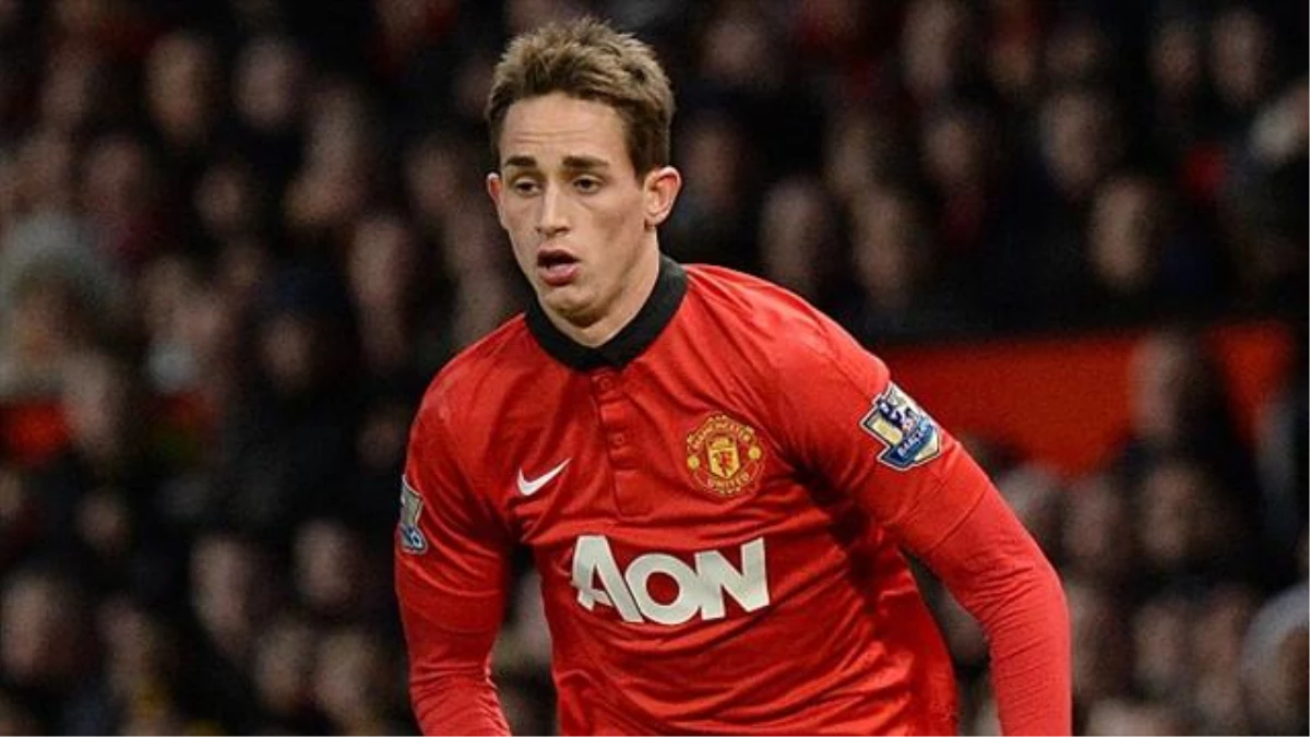 Kosova\'dan Adnan Januzaj\'a Milli Takım Teklifi