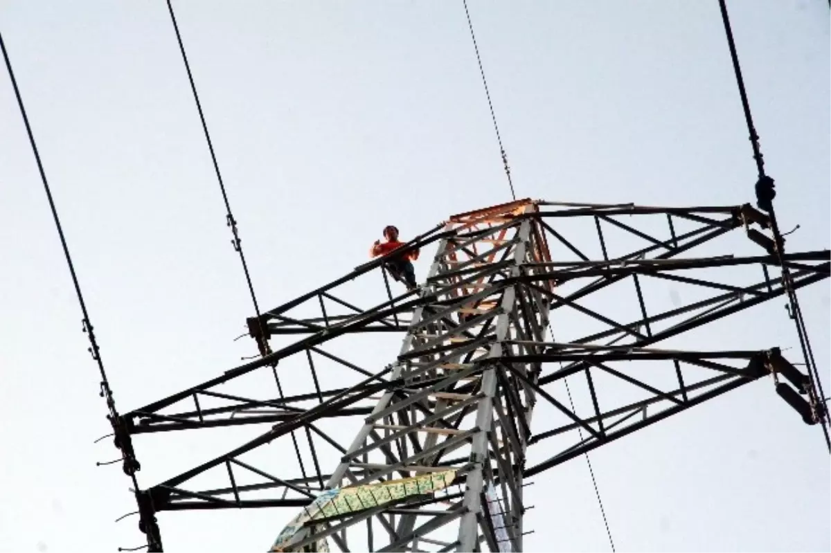 Kurbanlıkların Parasını Alamayınca Yüksek Gerilim Hattına Çıktı