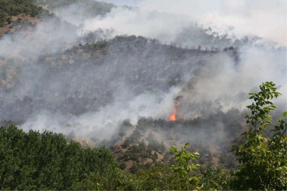 Milas\'ta 2013\'te 242 Hektar Ormanlık Alan Yandı