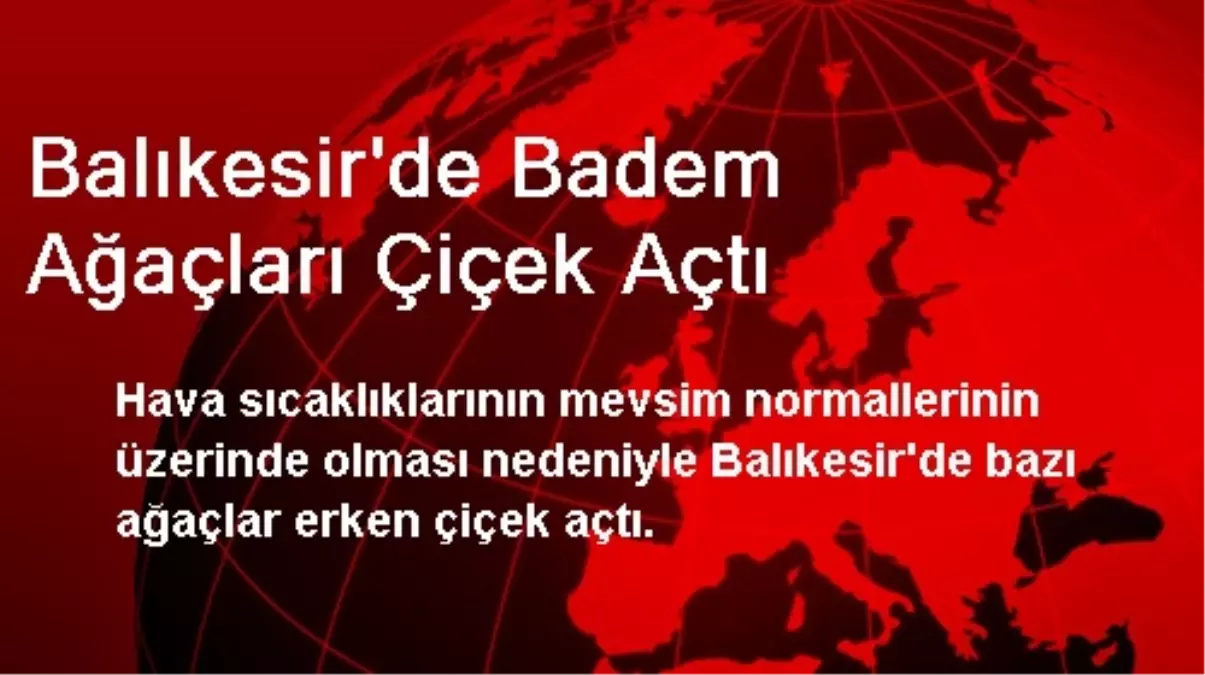 Balıkesir\'de Badem Ağaçları Çiçek Açtı