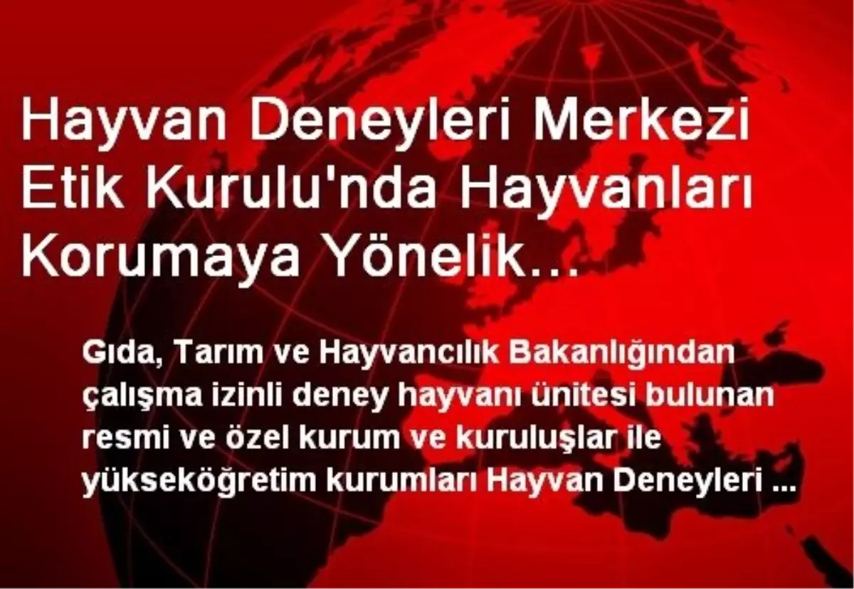 Hayvan Deneyleri Merkezi Etik Kurulu\'nda Hayvanları Korumaya Yönelik Stk\'lardan da Bir Temsilci...