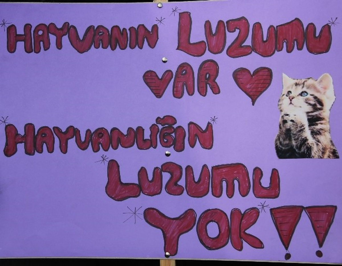Erzurum\'da "Hayvan Cinayetlerine Dur De" Eylemi Yapıldı