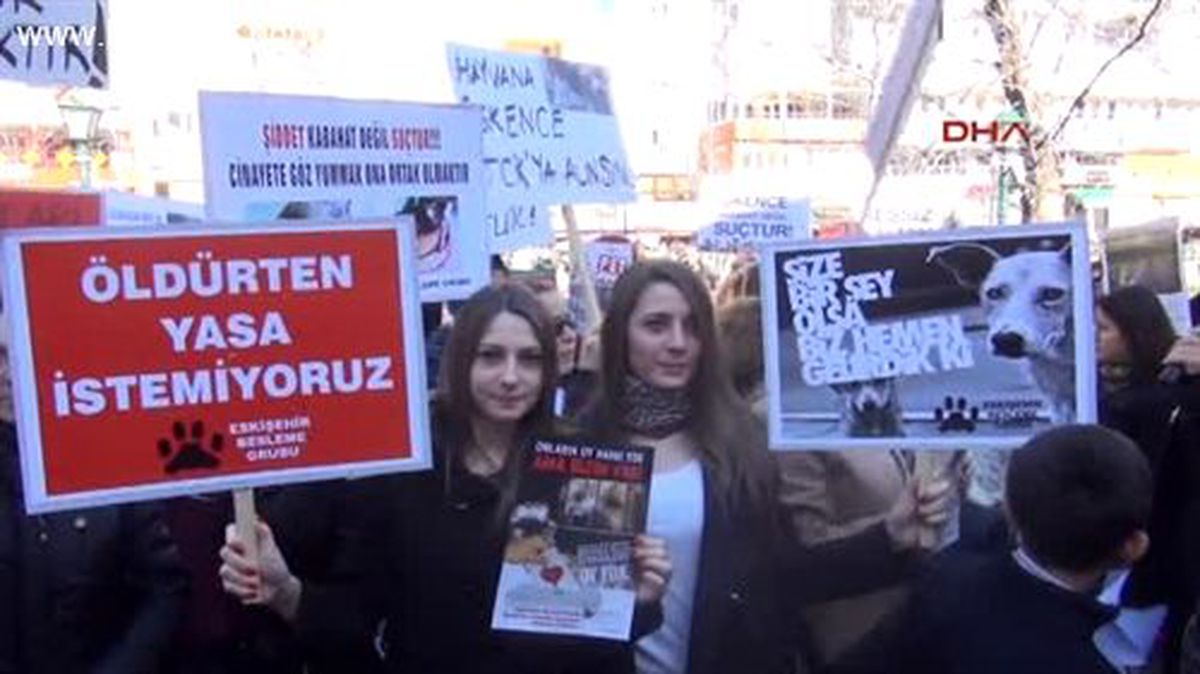 Eskişehir\'de 500 Hayvansever Yürüdü