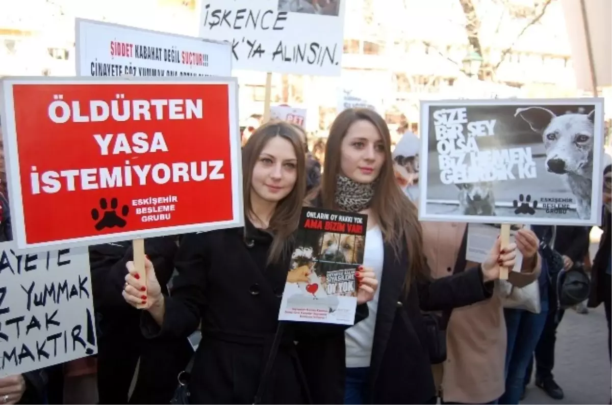 Eskişehir\'de \'Kediye İşkence\' Olayı Protesto Edildi