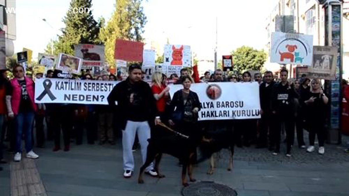 Hayvanlara işkence protesto edildi