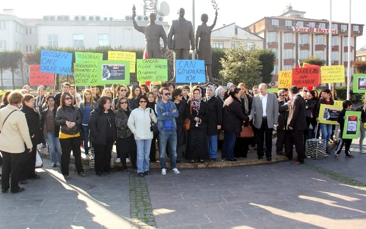 Kediyi Bıçakla Öldüren Genç Protesto Edildi