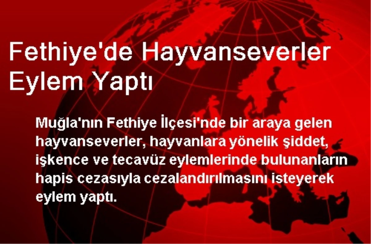 Fethiye\'de Hayvanseverler Eylem Yaptı